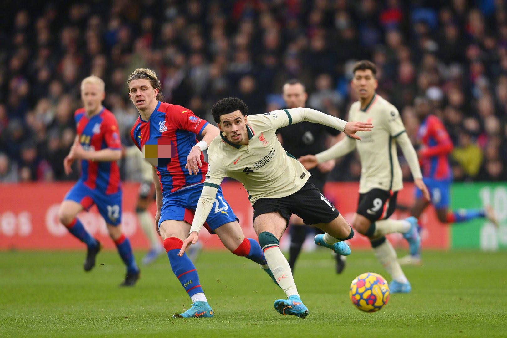 云南玉昆凭 云南玉昆凭